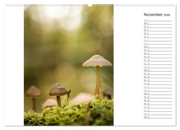 Produktbild: Kleine Wunder vor der Haust&uuml;r (hochwertiger Premium Wandkalender 2026 DIN A2 quer), Kunstdruck in Hochglanz