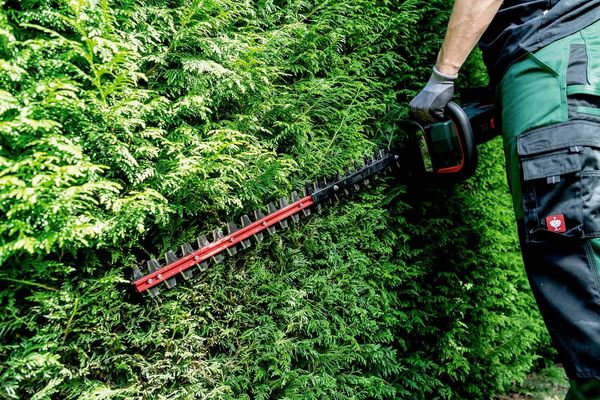 Produktbild: Metabo HS 18 LTX BL 55 Akku Heckenschere ohne Akku, ohne Ladeger&auml;t 1080mm