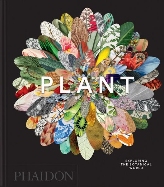 Produktbild: Plant