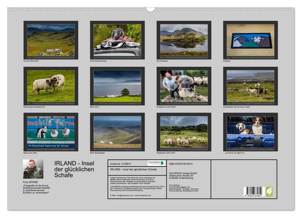 Produktbild: IRLAND - Insel der gl&uuml;cklichen Schafe (Wandkalender 2026 DIN A2 quer), CALVENDO Monatskalender