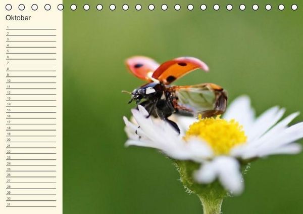 Produktbild: Geburtstagskalender "Nette Kleinigkeiten" (Tischkalender immerw&auml;hrend DIN A5 quer)