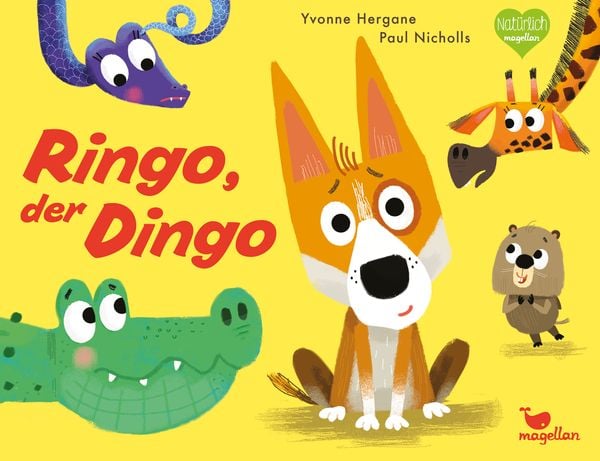 Produktbild: Ringo, der Dingo