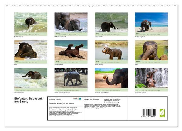 Produktbild: Elefanten. Badespa&szlig; am Strand (hochwertiger Premium Wandkalender 2026 DIN A2 quer), Kunstdruck in Hochglanz