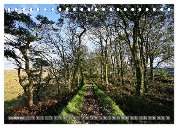 Produktbild: Cumbria (Tischkalender 2026 DIN A5 quer), CALVENDO Monatskalender