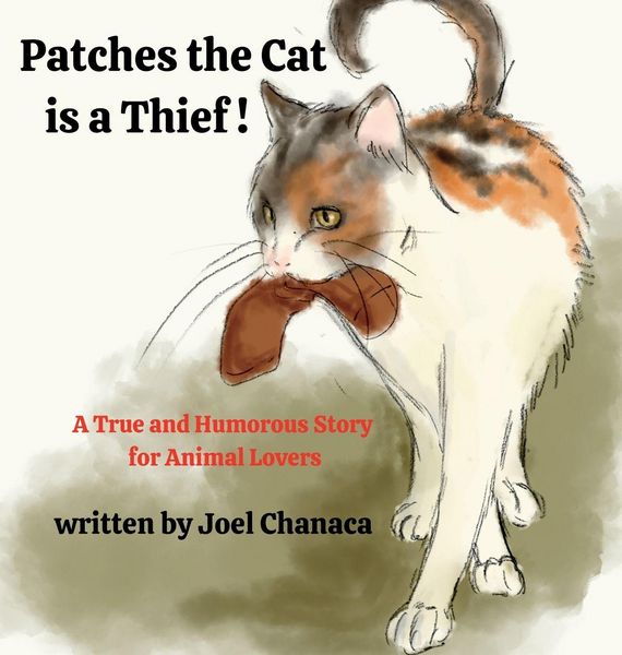 Produktbild: Patches The Cat is a Thief !