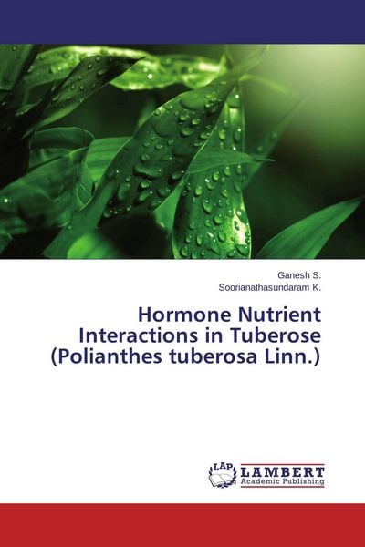 Produktbild: Hormone Nutrient Interactions in Tuberose (Polianthes tuberosa Linn.)