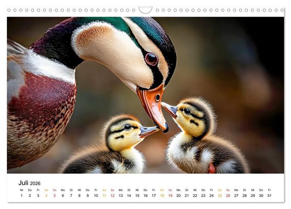 Produktbild: Tierm&uuml;tter - die sanfte Seite der Wildnis (Wandkalender 2026 DIN A3 quer), CALVENDO Monatskalender