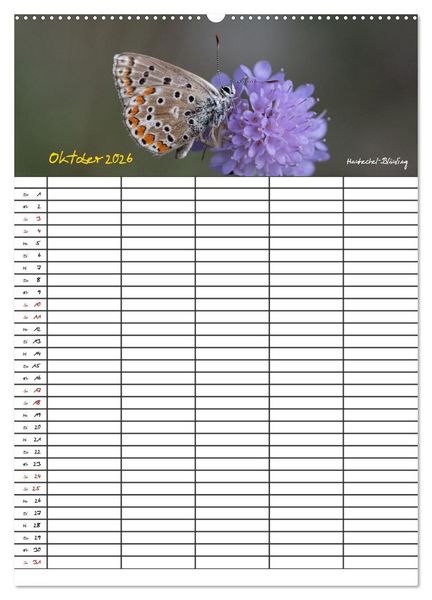 Produktbild: Schmetterlinge in Bayern (hochwertiger Premium Wandkalender 2026 DIN A2 hoch), Kunstdruck in Hochglanz