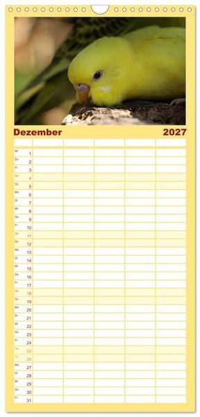 Produktbild: Familienplaner 2027 - Wellensittichkalender! - Das Original mit 5 Spalten (Wandkalender, 21 x 45 cm) CALVENDO