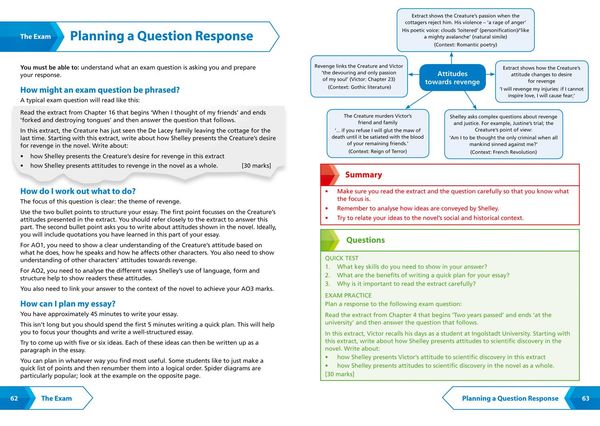 Produktbild: Frankenstein: AQA GCSE 9-1 English Literature Text Guide