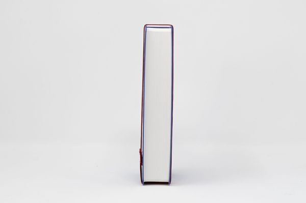 Produktbild: Die Bibel. Taschenausgabe stripe mit roter loser Gummilitze