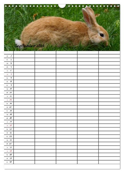 Produktbild: Meerschweinchen und Kaninchen Familienplaner (Wandkalender 2026 DIN A3 hoch), CALVENDO Monatskalender