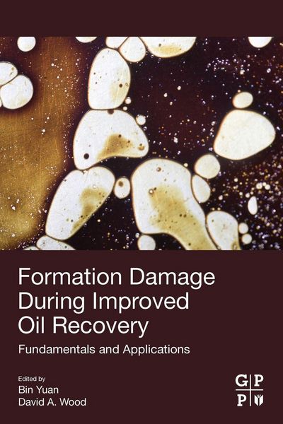 Produktbild: Formation Damage during Improved Oil Recovery