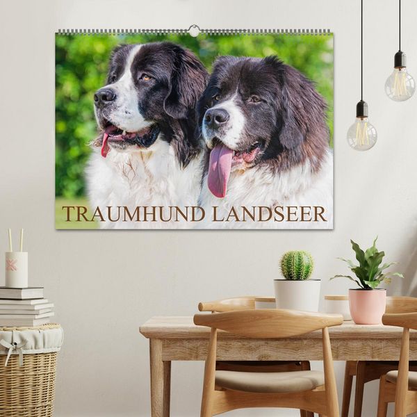 Produktbild: Traumhund Landseer (Wandkalender 2026 DIN A2 quer), CALVENDO Monatskalender