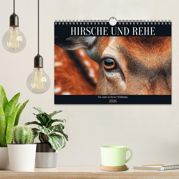 Produktbild: HIRSCHE UND REHE - Ein Jahr in freier Wildbahn (Wandkalender 2026 DIN A4 quer), CALVENDO Monatskalender