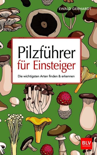 Produktbild: Pilzf&uuml;hrer f&uuml;r Einsteiger