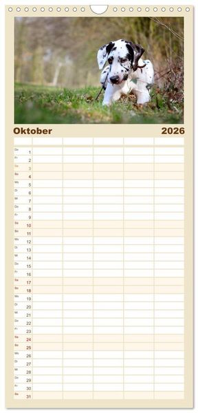 Produktbild: Familienplaner 2026 - Deutsche Doggen / Geburtstagskalender mit 5 Spalten (Wandkalender, 21 x 45 cm) CALVENDO