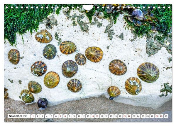 Produktbild: Normandie Die Farben der Ebbe (Wandkalender 2026 DIN A4 quer), CALVENDO Monatskalender
