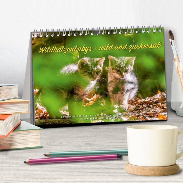 Produktbild: Wildkatzenbabys - wild und zuckers&uuml;&szlig;. (Tischkalender 2026 DIN A5 quer), CALVENDO Monatskalender
