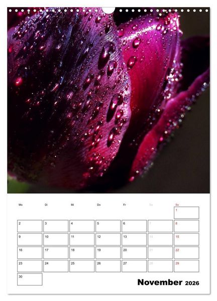 Produktbild: Zauberhafte Bl&uuml;tenwelt / Planer (Wandkalender 2026 DIN A3 hoch), CALVENDO Monatskalender
