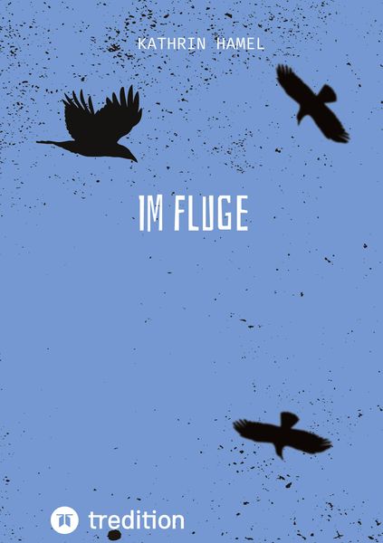 Produktbild: Im Fluge