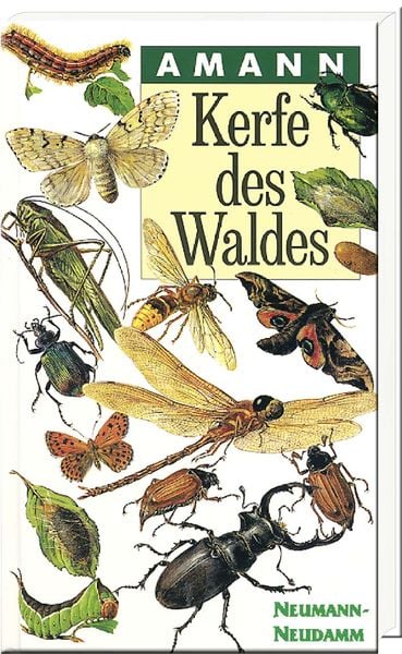 Kerfe des Waldes