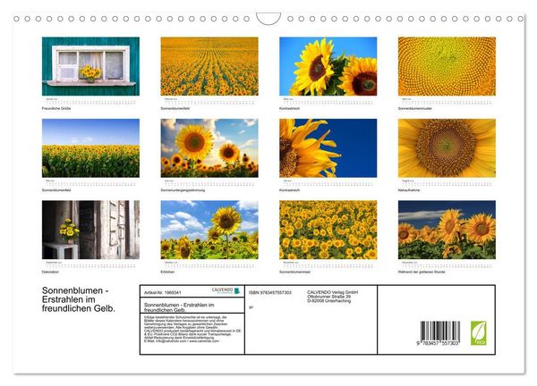 Produktbild: Sonnenblumen - Erstrahlen im freundlichen Gelb. (Wandkalender 2026 DIN A3 quer), CALVENDO Monatskalender