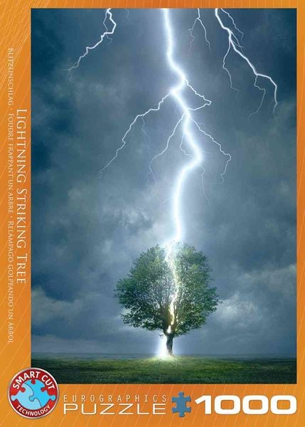 Eurographics 6000-4570 - Lighting Striking Tree - Blitzeinschlag, Puzzle 1.000 Teile