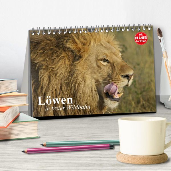 Produktbild: L&ouml;wen in freier Wildbahn (Tischkalender 2026 DIN A5 quer), CALVENDO Monatskalender