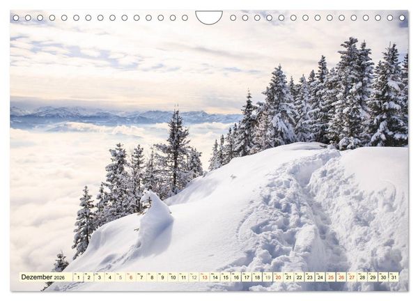 Produktbild: Mystische W&auml;lder - Zauber der Natur (Wandkalender 2026 DIN A4 quer), CALVENDO Monatskalender
