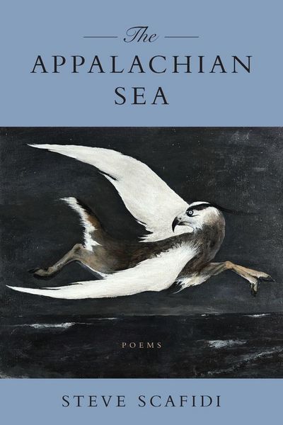Produktbild: Appalachian Sea
