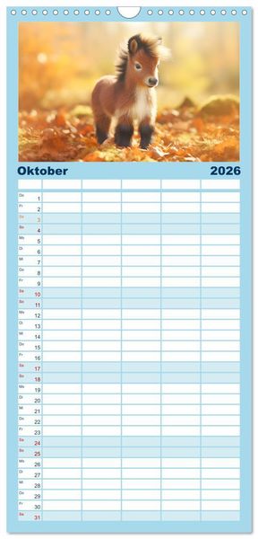 Produktbild: Familienplaner 2026 - Kleine Pferde. Mini-Ponys zum verlieben mit 5 Spalten (Wandkalender, 21 x 45 cm) CALVENDO