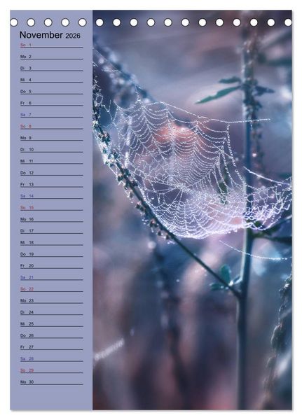 Produktbild: Pastell-Zauber (Tischkalender 2026 DIN A5 hoch), CALVENDO Monatskalender