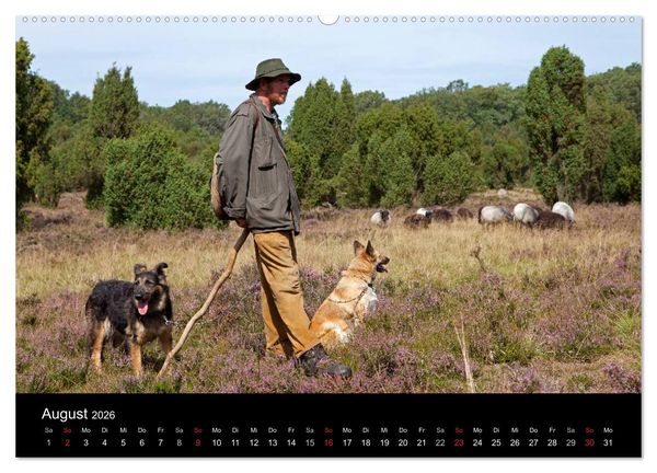 Produktbild: Hansestadt L&uuml;neburg und L&uuml;neburger Heide (hochwertiger Premium Wandkalender 2026 DIN A2 quer), Kunstdruck in Hochglanz