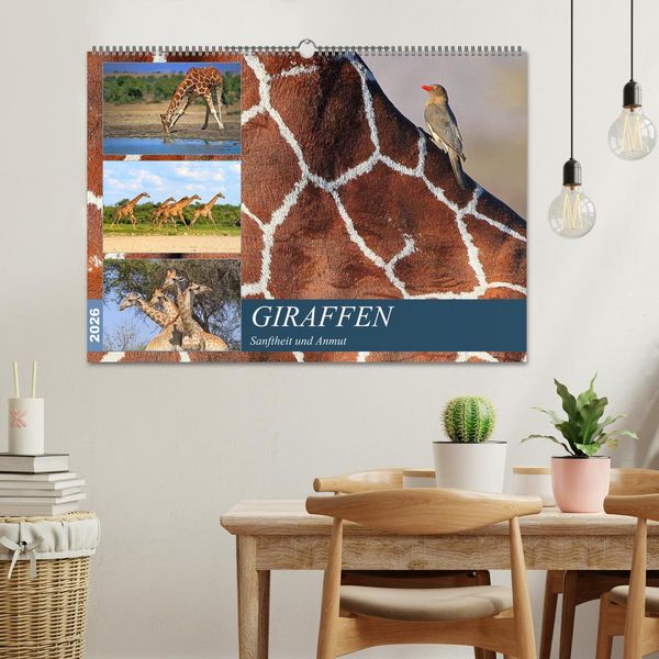 Produktbild: Giraffen - Sanftheit und Anmut (Wandkalender 2026 DIN A2 quer), CALVENDO Monatskalender