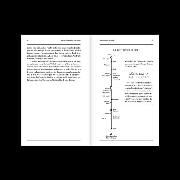 Produktbild: Psalmen | Arbeitsheft (Die Bibel erkl&auml;rt)
