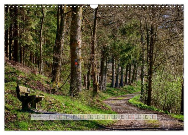Produktbild: Wald im Bergischen Land 2027 (Wandkalender 2027 DIN A3 quer), CALVENDO Monatskalender
