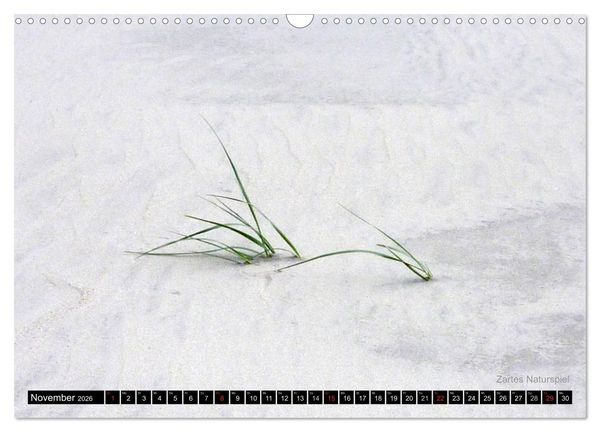 Produktbild: T&ouml;werland Juist (Wandkalender 2026 DIN A3 quer), CALVENDO Monatskalender