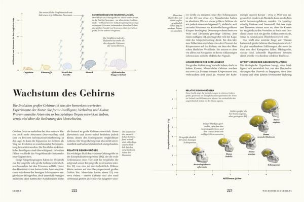 Produktbild: HUMANS. Der Mensch