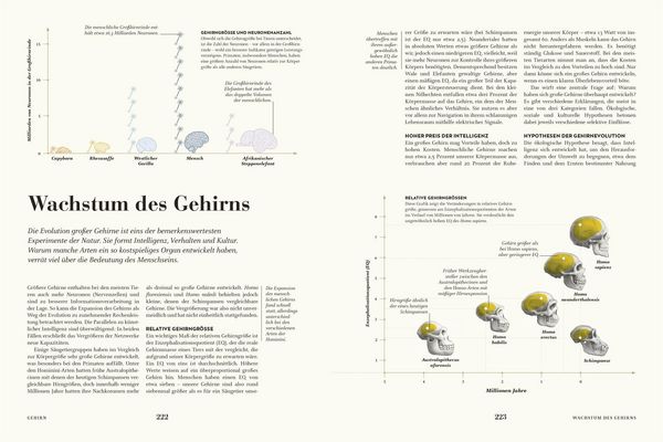 Produktbild: HUMANS. Der Mensch