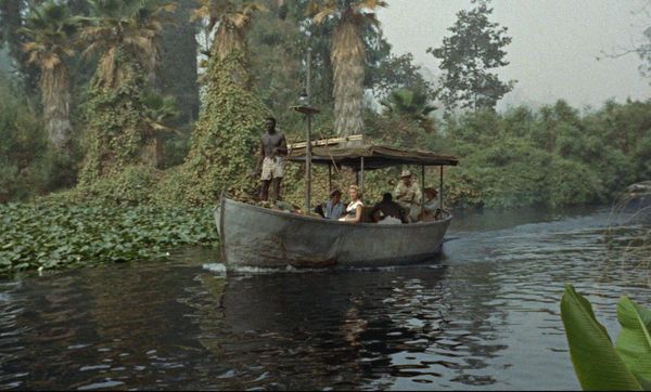 Produktbild: Blutroter Kongo