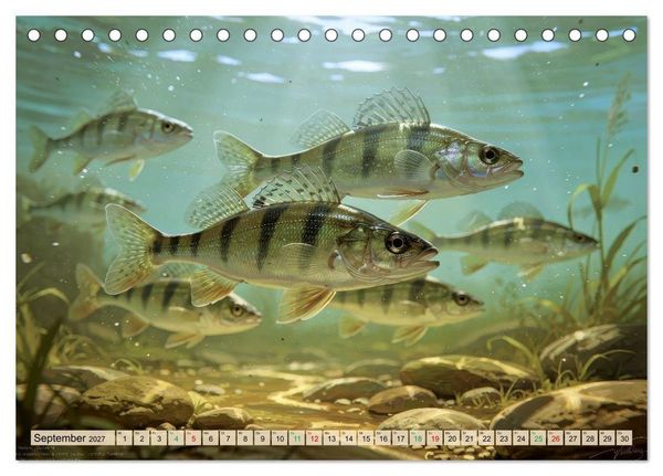 Produktbild: Barsche im See (Tischkalender 2027 DIN A5 quer), CALVENDO Monatskalender