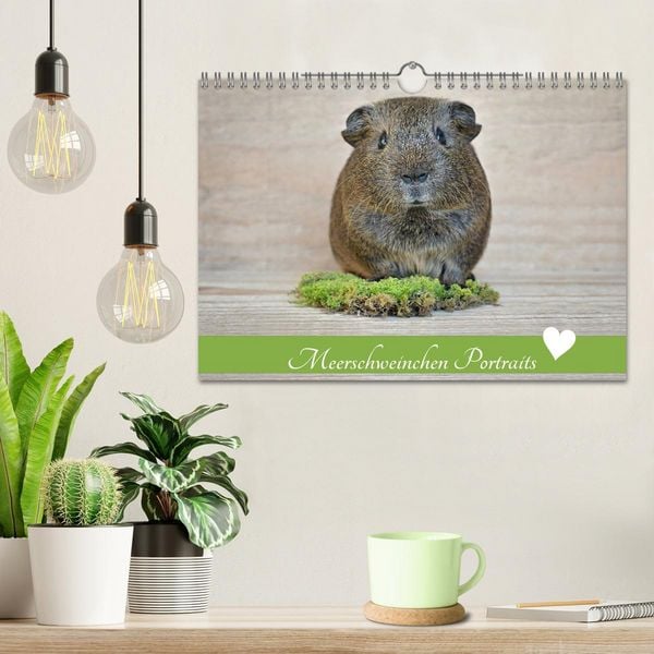 Produktbild: Meerschweinchen Portraits (Wandkalender 2026 DIN A4 quer), CALVENDO Monatskalender