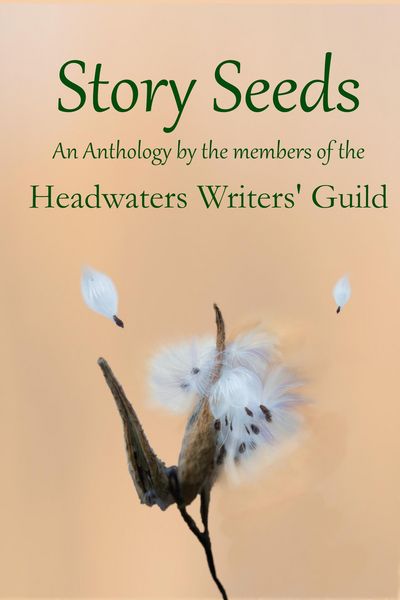 Produktbild: Story Seeds