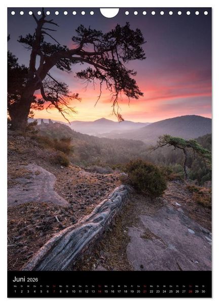 Produktbild: NATURWUNDER PF&Auml;LZERWALD (Wandkalender 2026 DIN A4 hoch), CALVENDO Monatskalender
