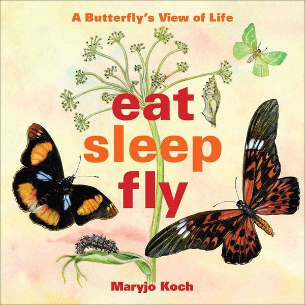 Produktbild: Eat, Sleep, Fly