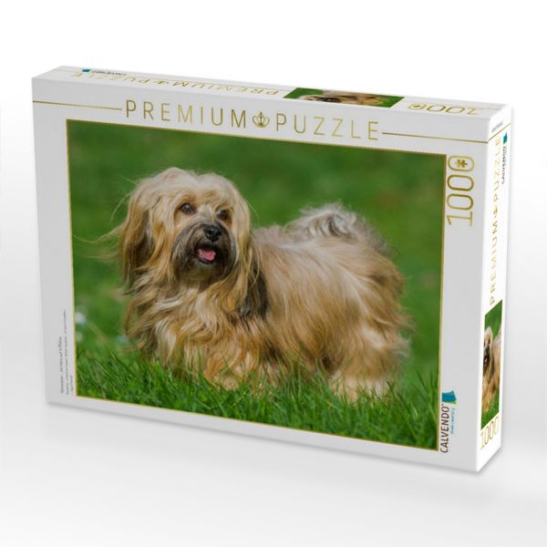 Produktbild: CALVENDO Puzzle Havaneser - ein Herz auf 4 Pfoten | 1000 Teile Lege-Gr&ouml;&szlig;e 64x48cm Foto-Puzzle f&uuml;r gl&uuml;ckliche Stunden