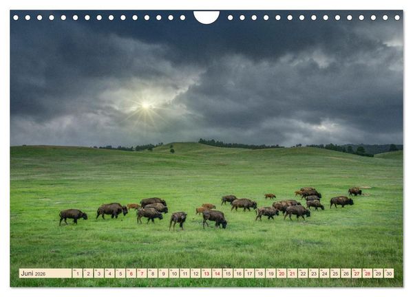 Produktbild: Sioux Im Lande von Sitting Bull (Wandkalender 2026 DIN A4 quer), CALVENDO Monatskalender
