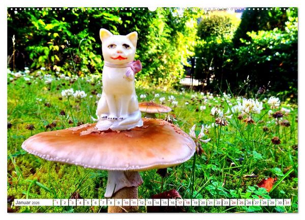 Produktbild: Pilz-Tiere (Wandkalender 2026 DIN A2 quer), CALVENDO Monatskalender