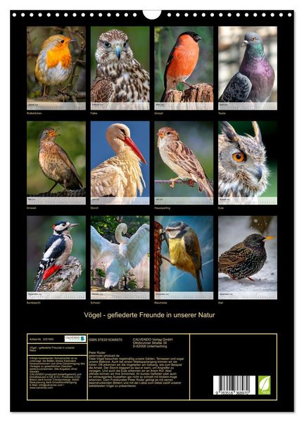 Produktbild: V&ouml;gel - gefiederte Freunde in unserer Natur (Wandkalender 2026 DIN A3 hoch), CALVENDO Monatskalender